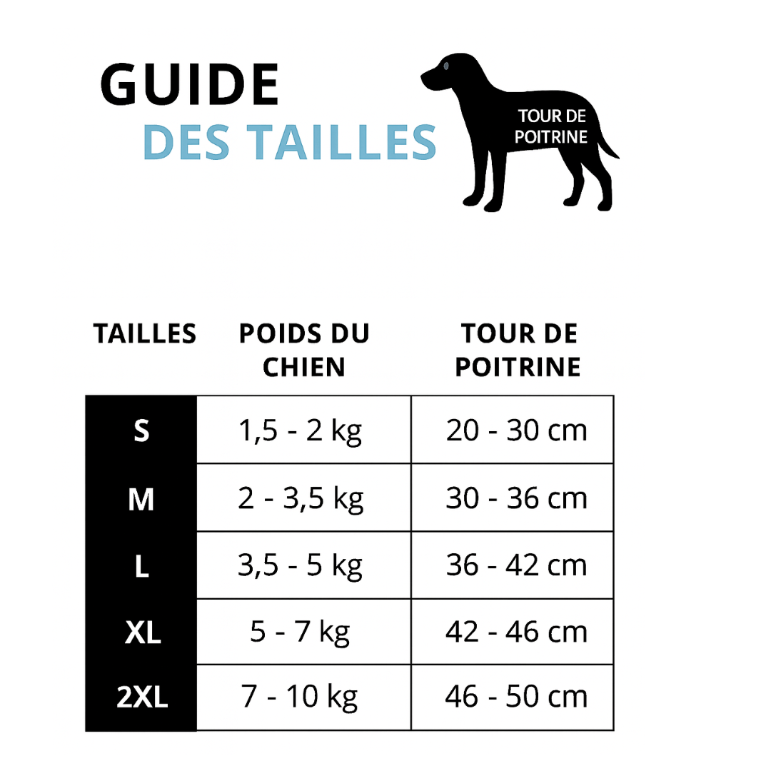 Ploofdog™️— Le compagnon parfait pour affronter le froid et la pluie