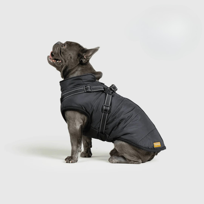 Ploofdog™️— Le compagnon parfait pour affronter le froid et la pluie